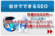 月額9800円SEOシステム　＋CMS